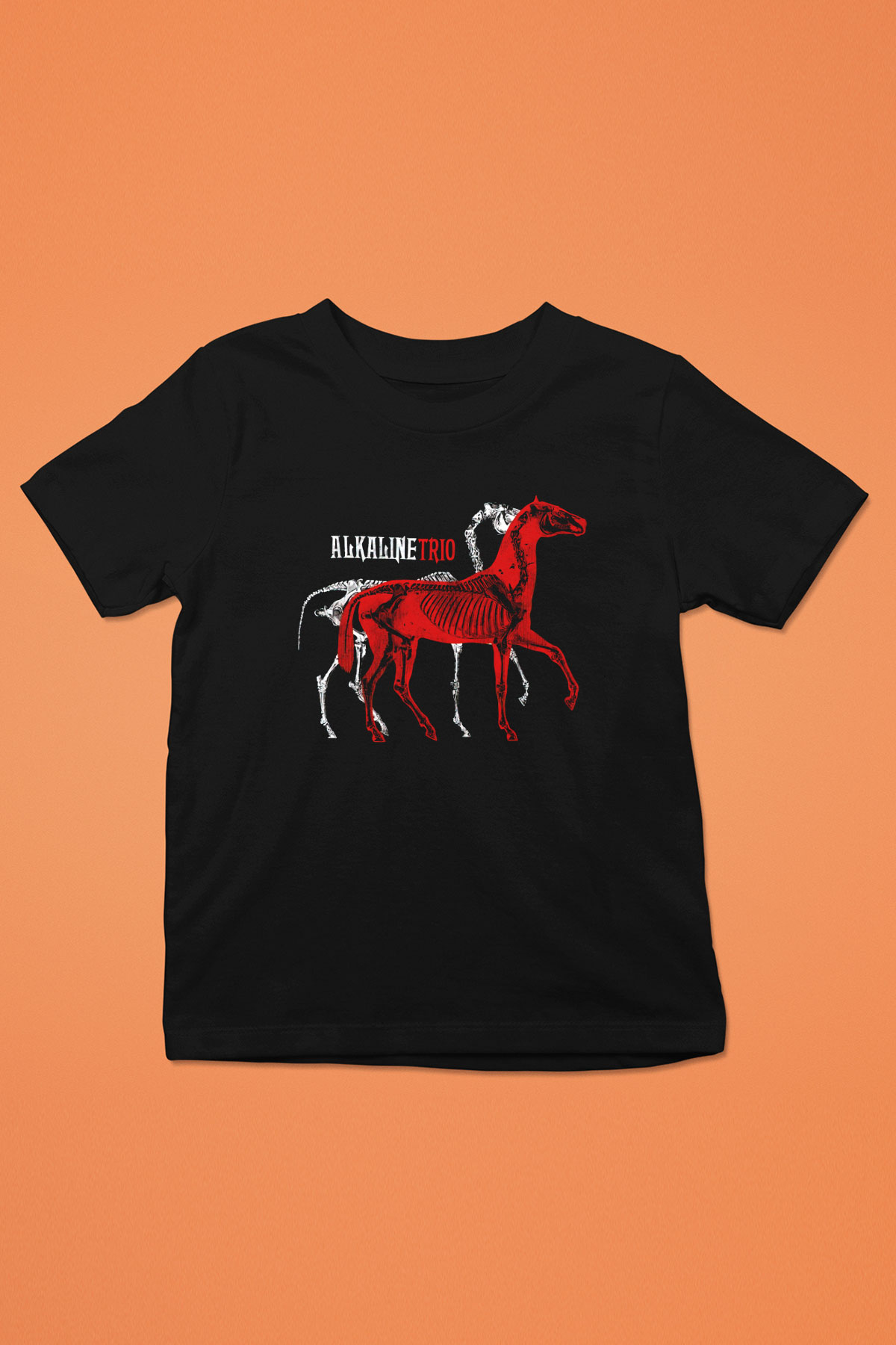Alkaline Trio Baskılı Siyah Unisex Çocuk Tişört