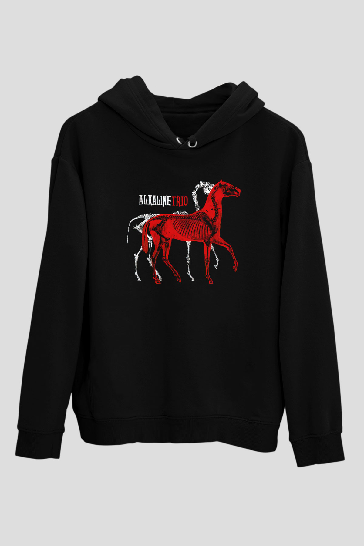 Alkaline Trio Siyah Unisex Hoodie