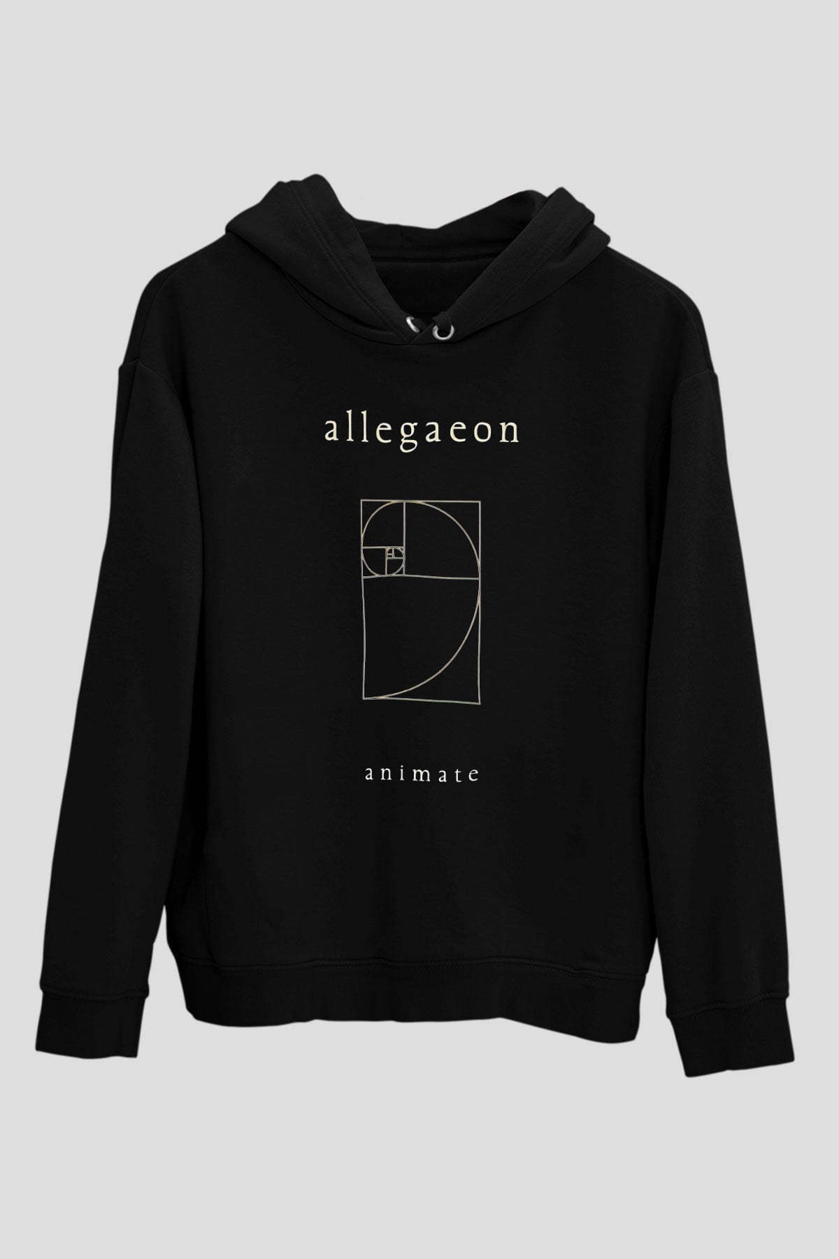 Allegaeon Baskılı Unisex Siyah Kapüşonlu Sweatshirt