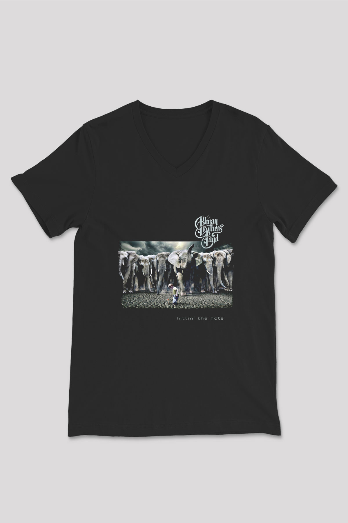 Allman Brothers Band Baskılı Unisex Siyah V Yaka Tişört