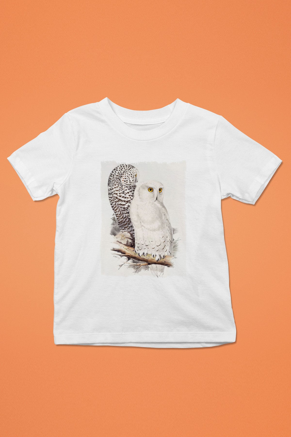 Baykuş Beyaz Unisex Çocuk Tişört
