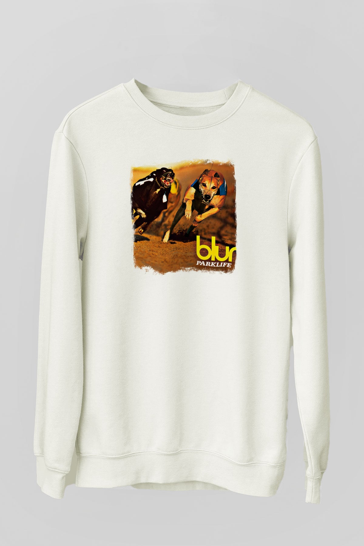 Blur Baskılı Unisex Beyaz Sweatshirt