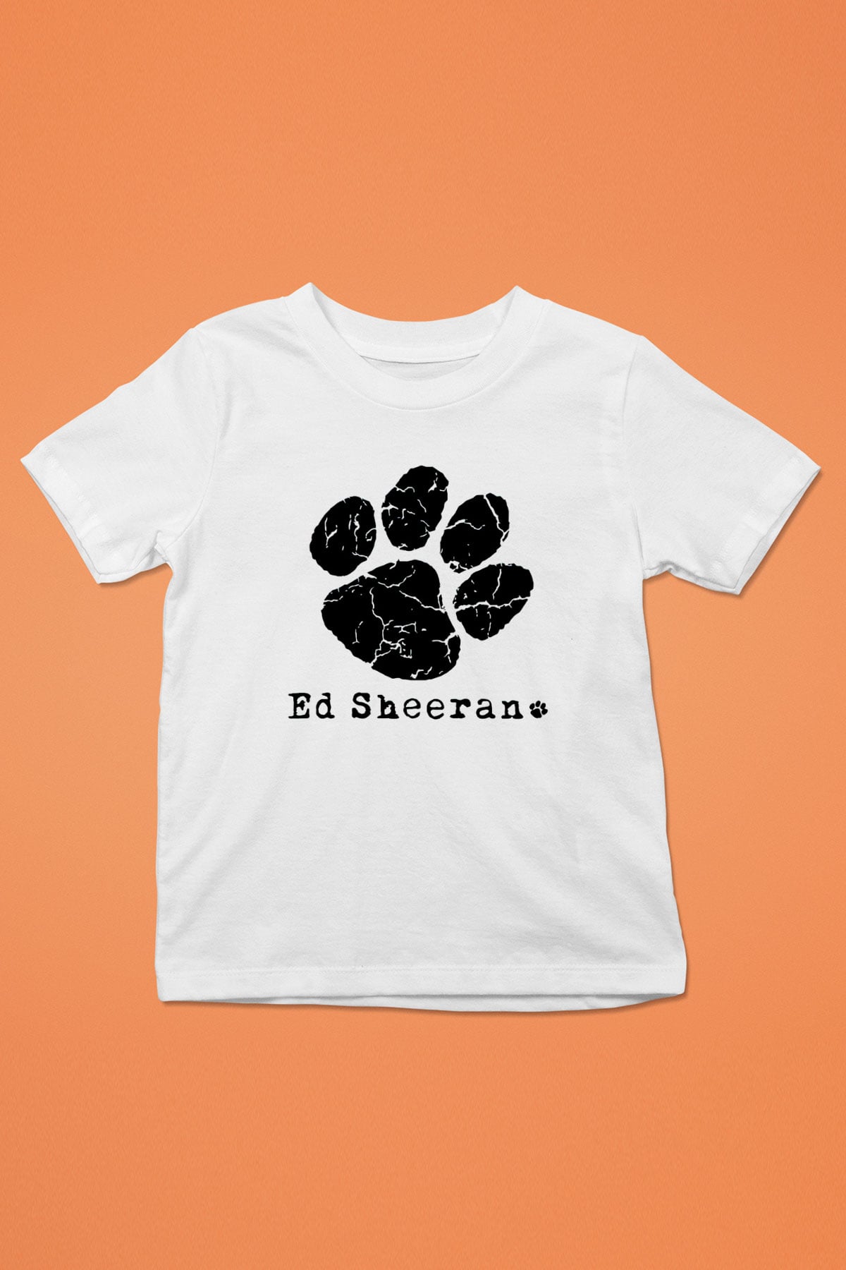 Ed Sheeran Baskılı Beyaz Unisex Çocuk Tişört