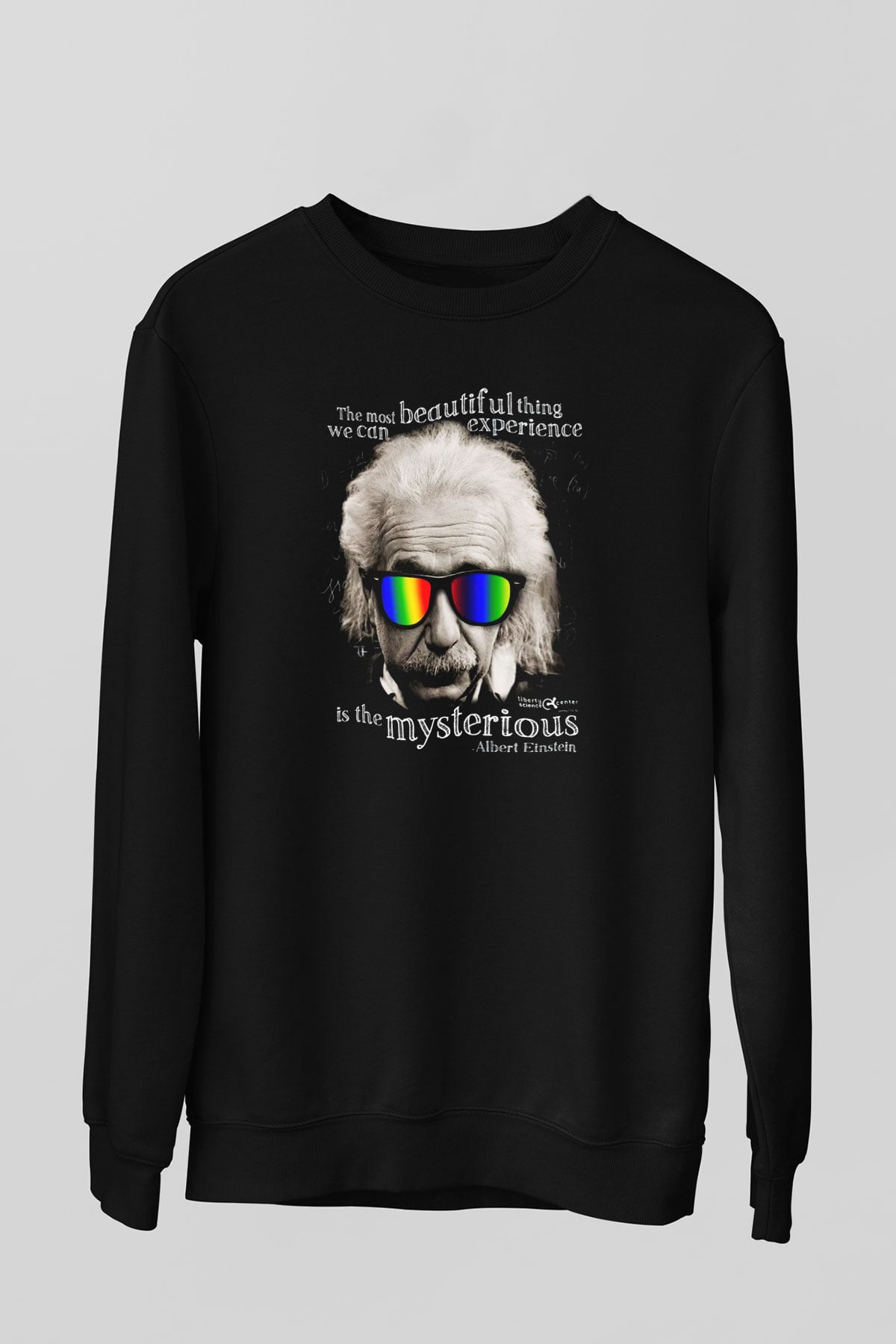 Einstein Siyah Unisex Sweatshirt