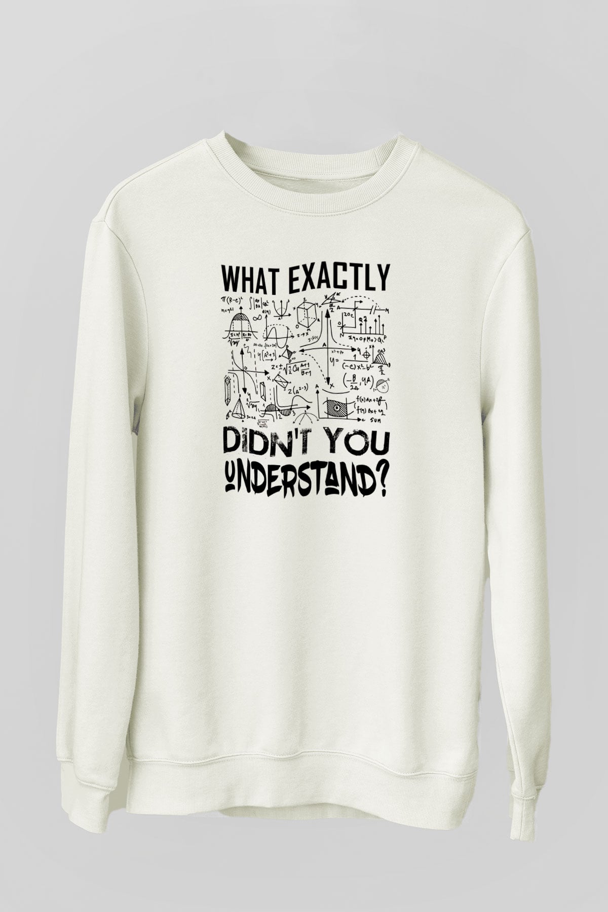 Fizik Grafikler Denklemler Baskılı Unisex Ekru Sweatshirt