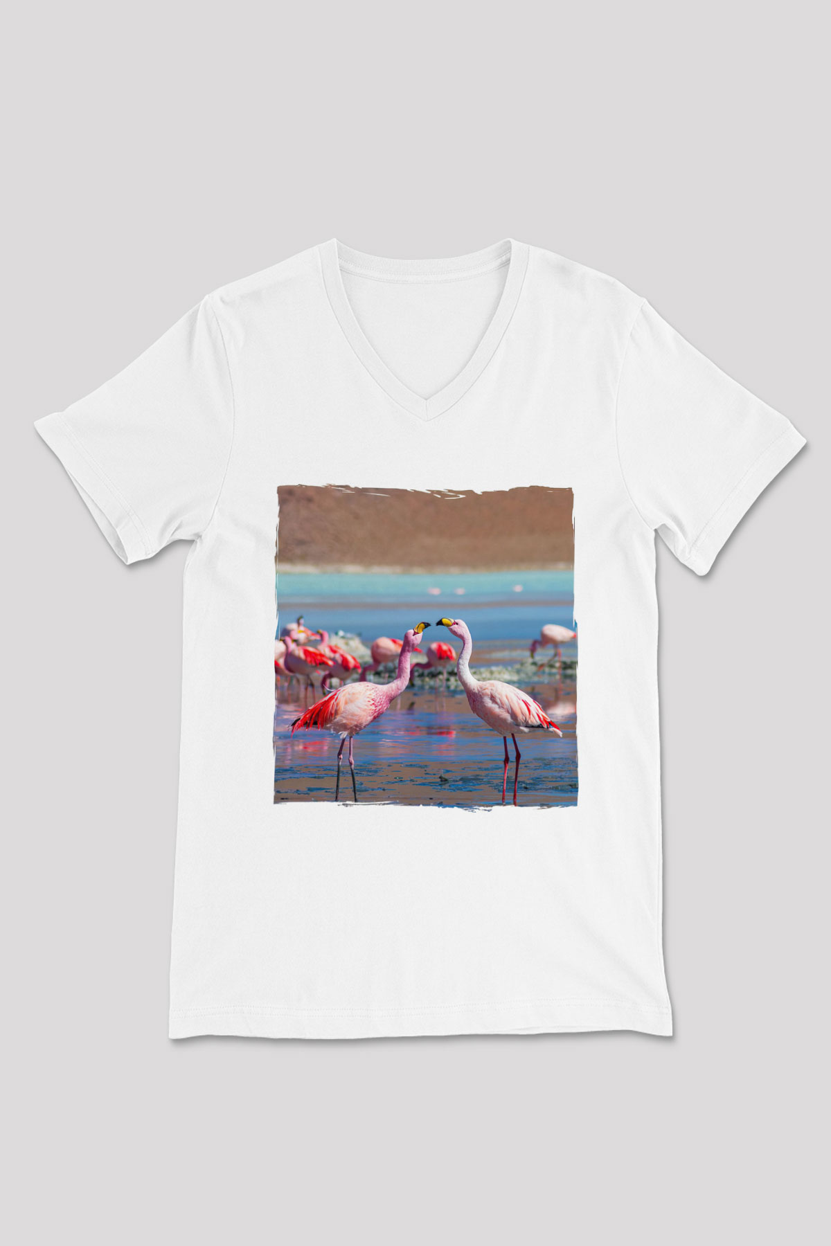 Laguna Colorada Beyaz Unisex V Yaka Tişört