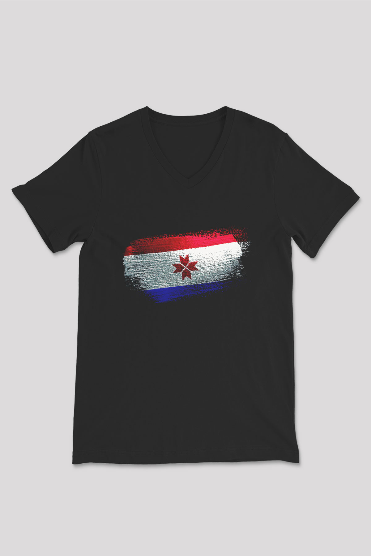 Mordovya - Mordovia Bayrağı Baskılı Unisex Siyah V Yaka Tişört
