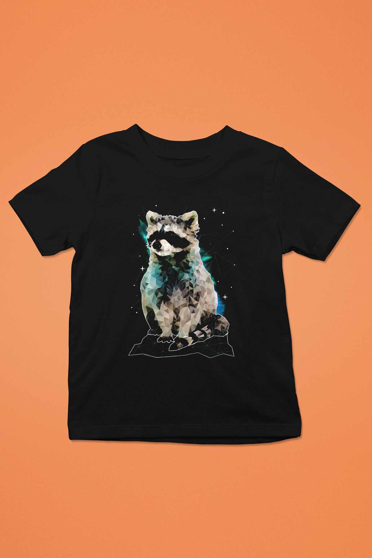 Rakun Siyah Unisex Çocuk Tişört