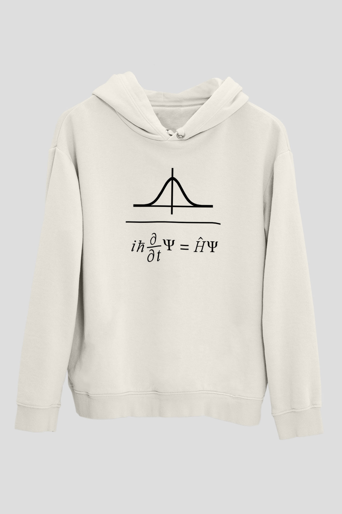 Schrödinger Dalga Denklemi Baskılı Unisex Ekru Hoodie