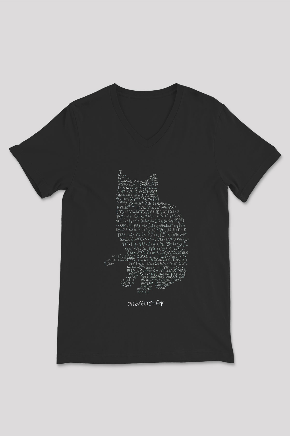 Schrödinger Dalga Denklemi Kedi Baskılı Unisex Siyah V Yaka Tişört