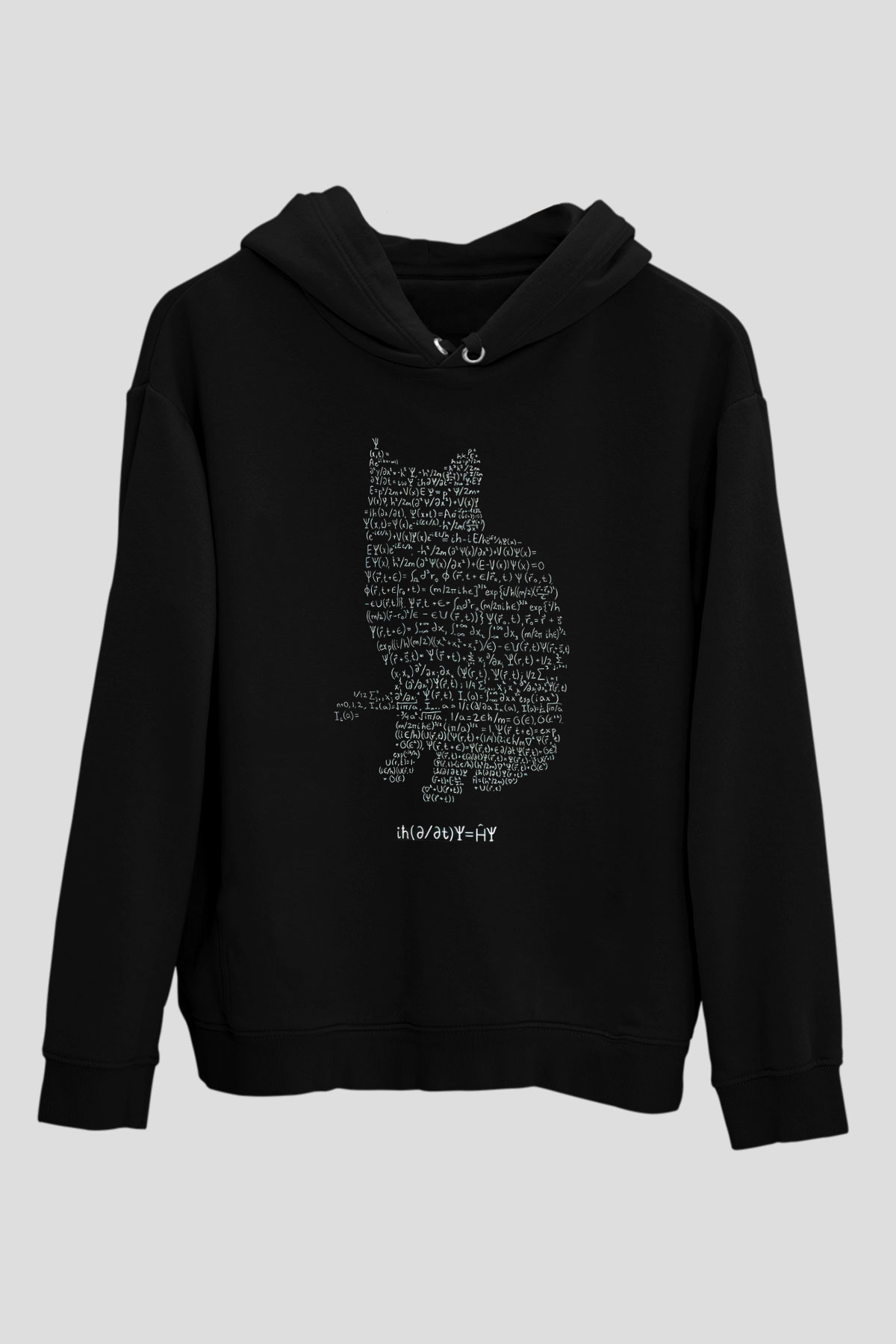 Schrödinger Dalga Denklemi Kedi Baskılı Unisex Siyah Hoodie
