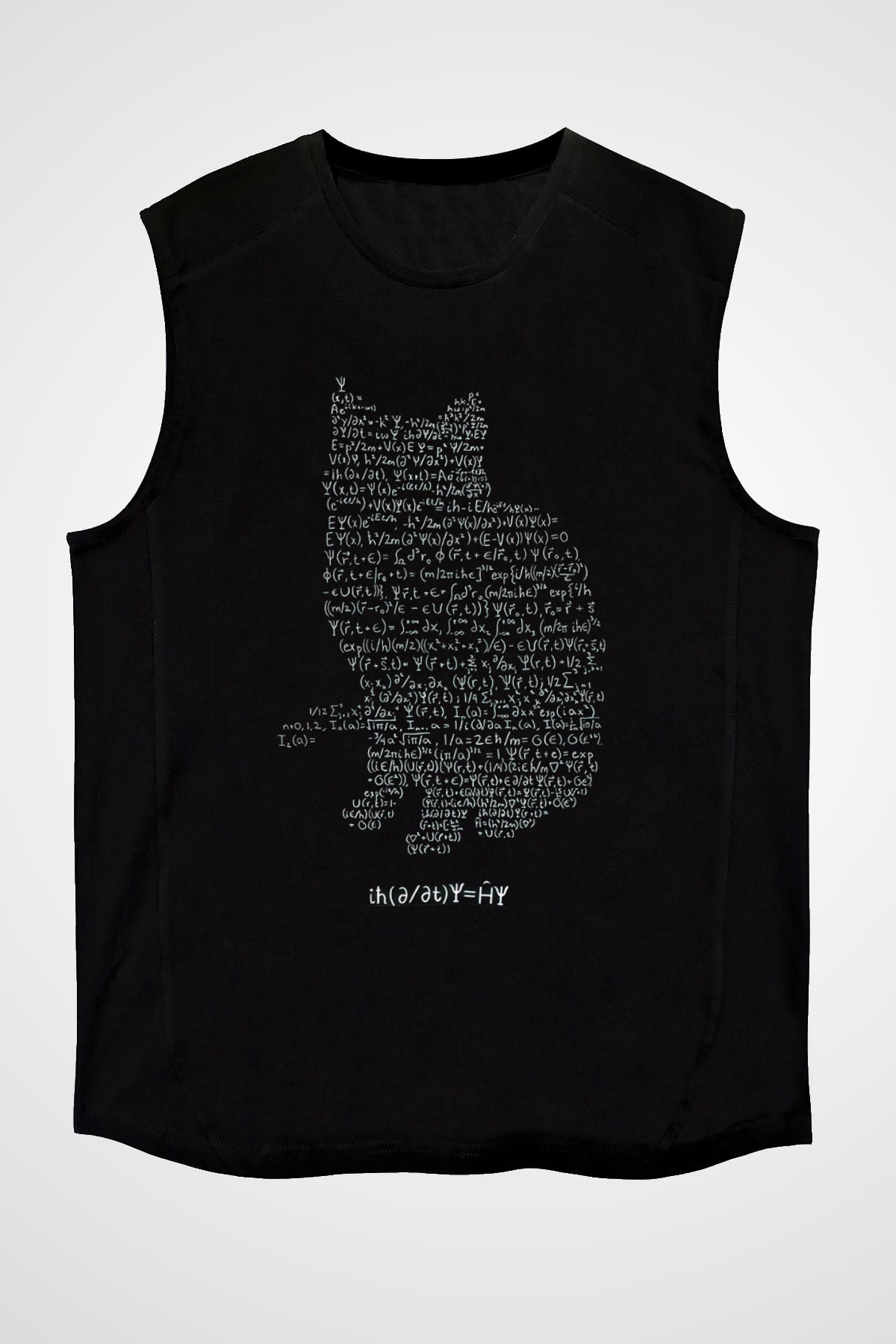 Schrödinger Dalga Denklemi Kedi Baskılı Unisex Siyah Kolsuz Tişört