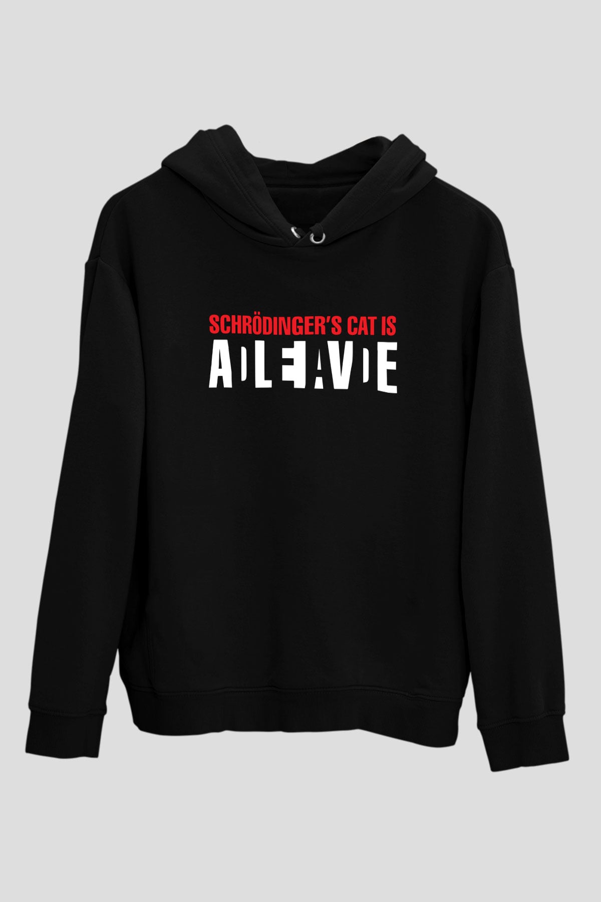 Schrödingerin Kedisi Paradoks Baskılı Unisex Siyah Hoodie