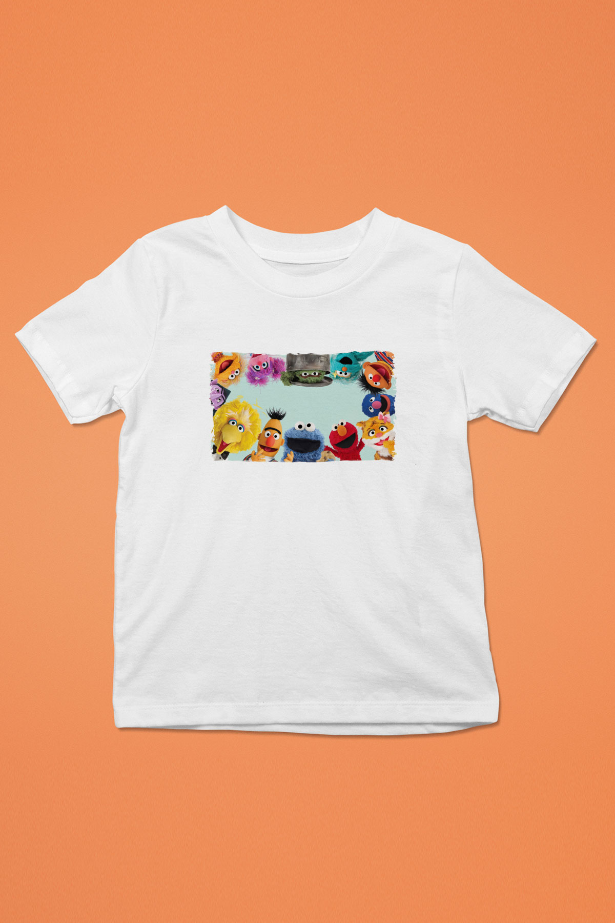 Sesame Street Susam Sokağı Beyaz Unisex  Çocuk Tişört