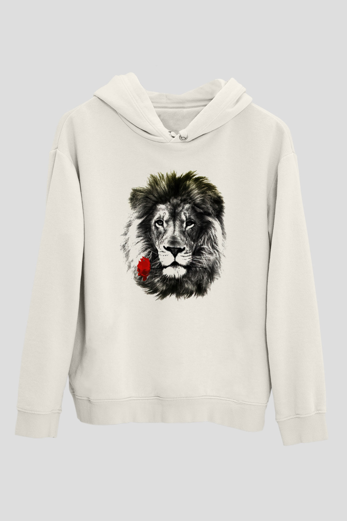 Tasarım Kapşonlu Sweatshirt TSR107