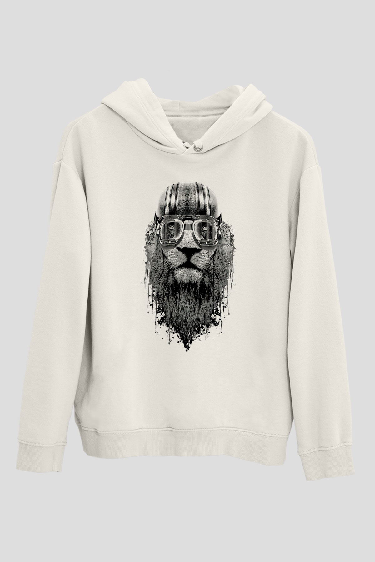 Tasarım Kapşonlu Sweatshirt TSR112