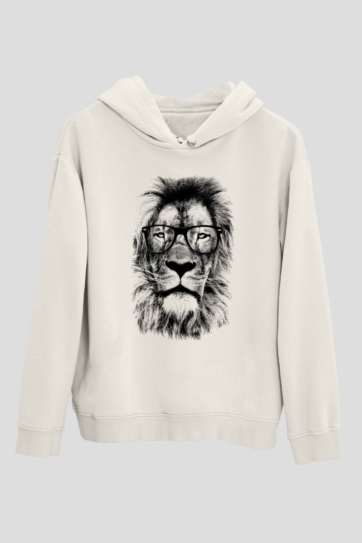 Tasarım Kapşonlu Sweatshirt TSR123