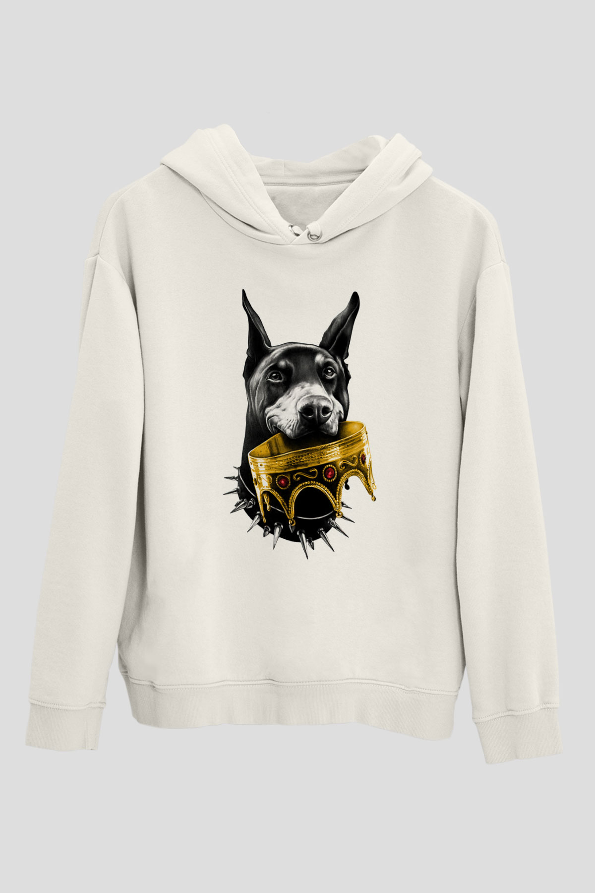 Tasarım Kapşonlu Sweatshirt TSR142