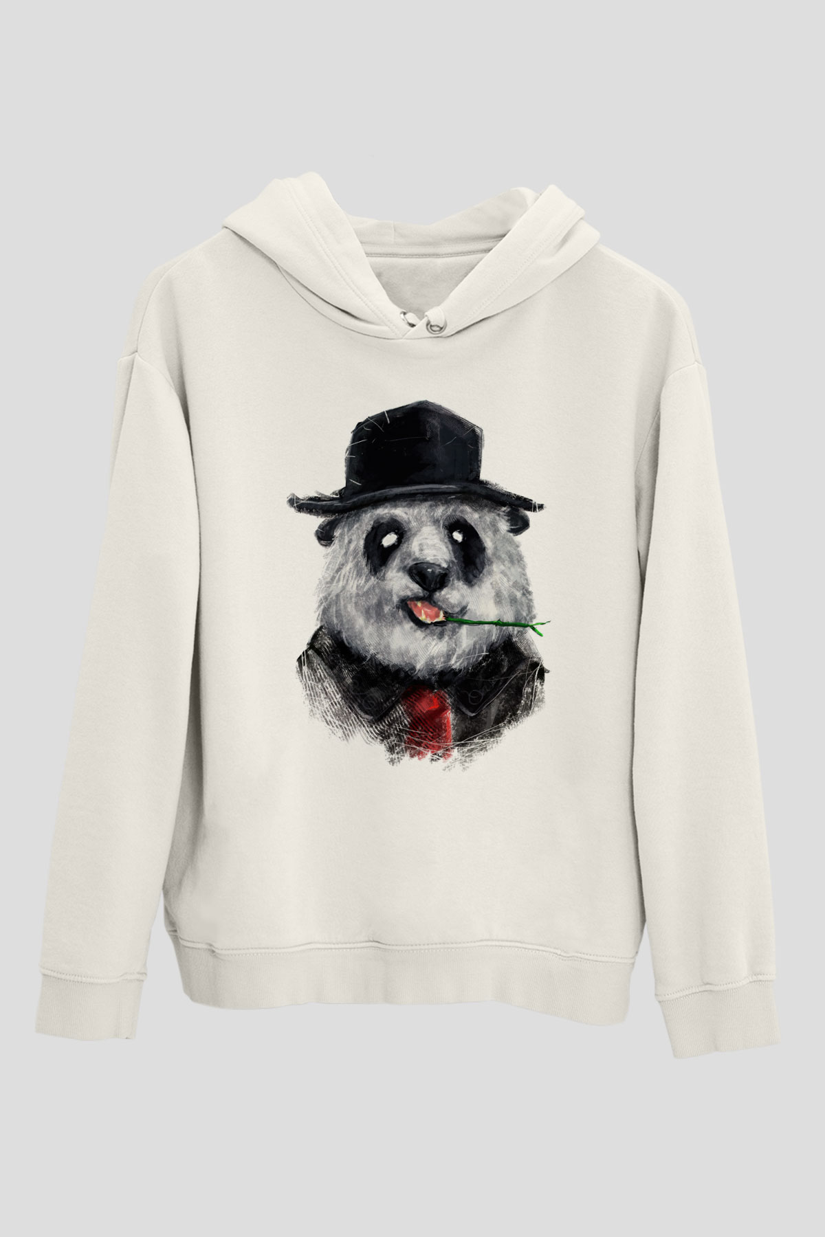 Tasarım Kapşonlu Sweatshirt TSR217