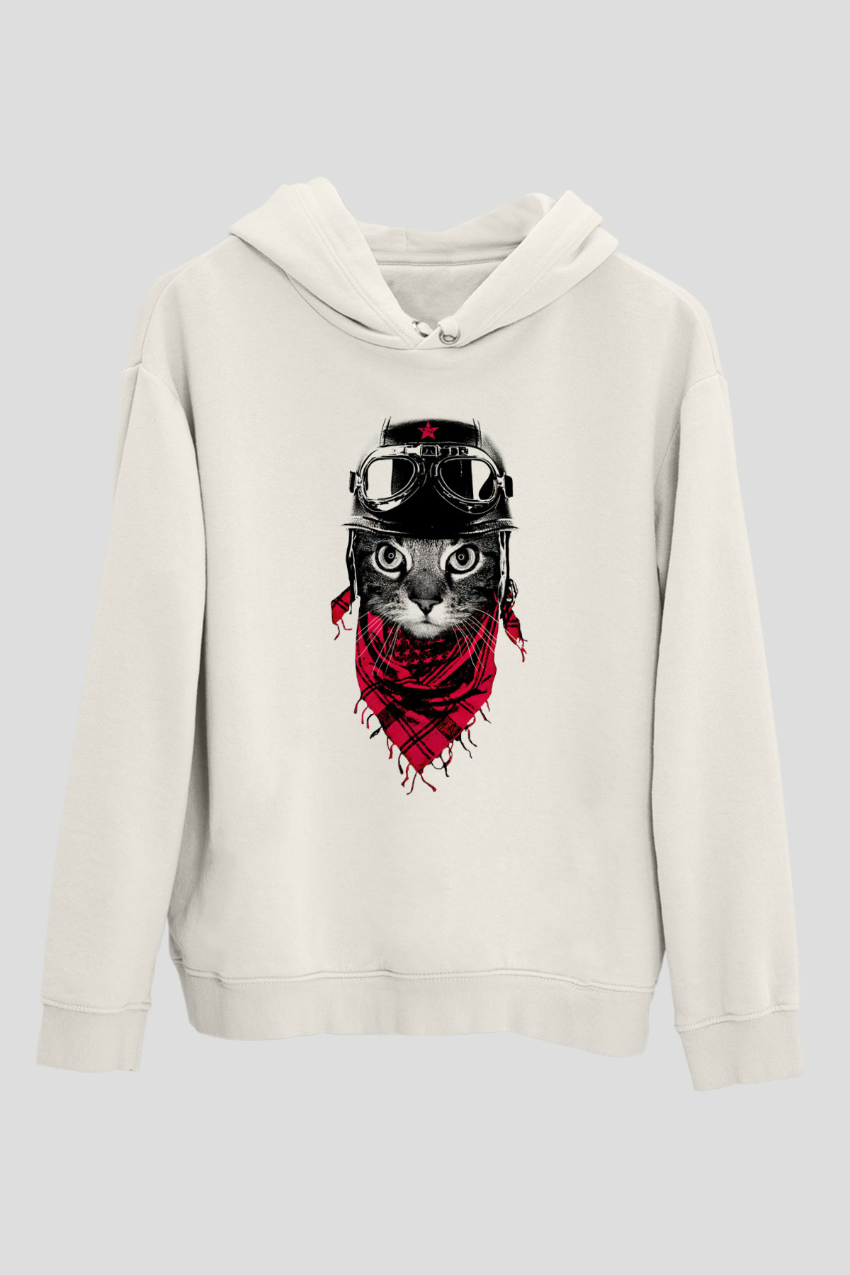 Tasarım Kapşonlu Sweatshirt TSR293
