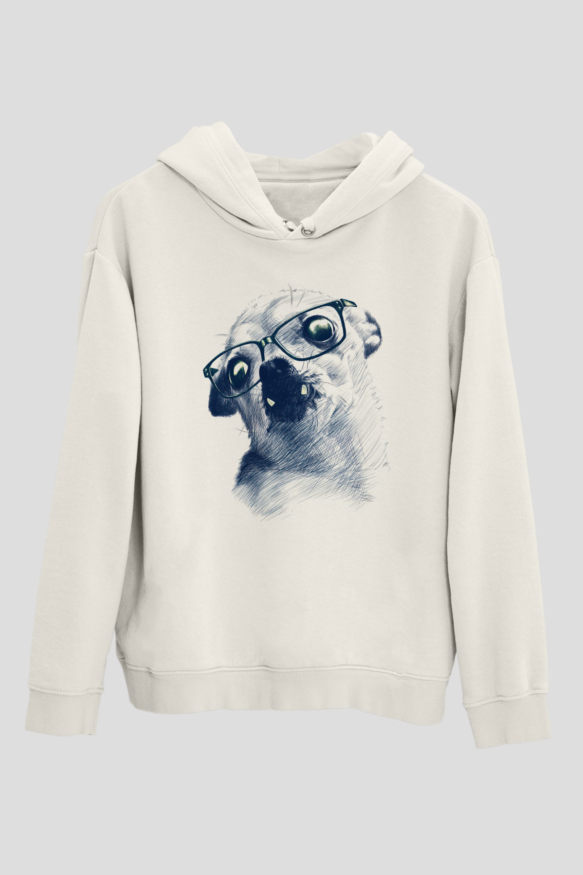Tasarım Kapşonlu Sweatshirt TSR3