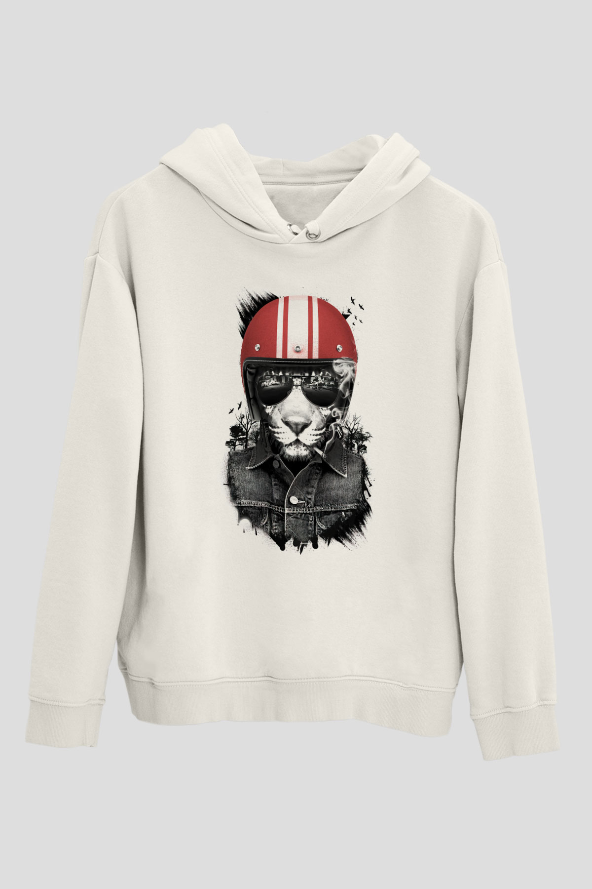 Tasarım Kapşonlu Sweatshirt TSR77
