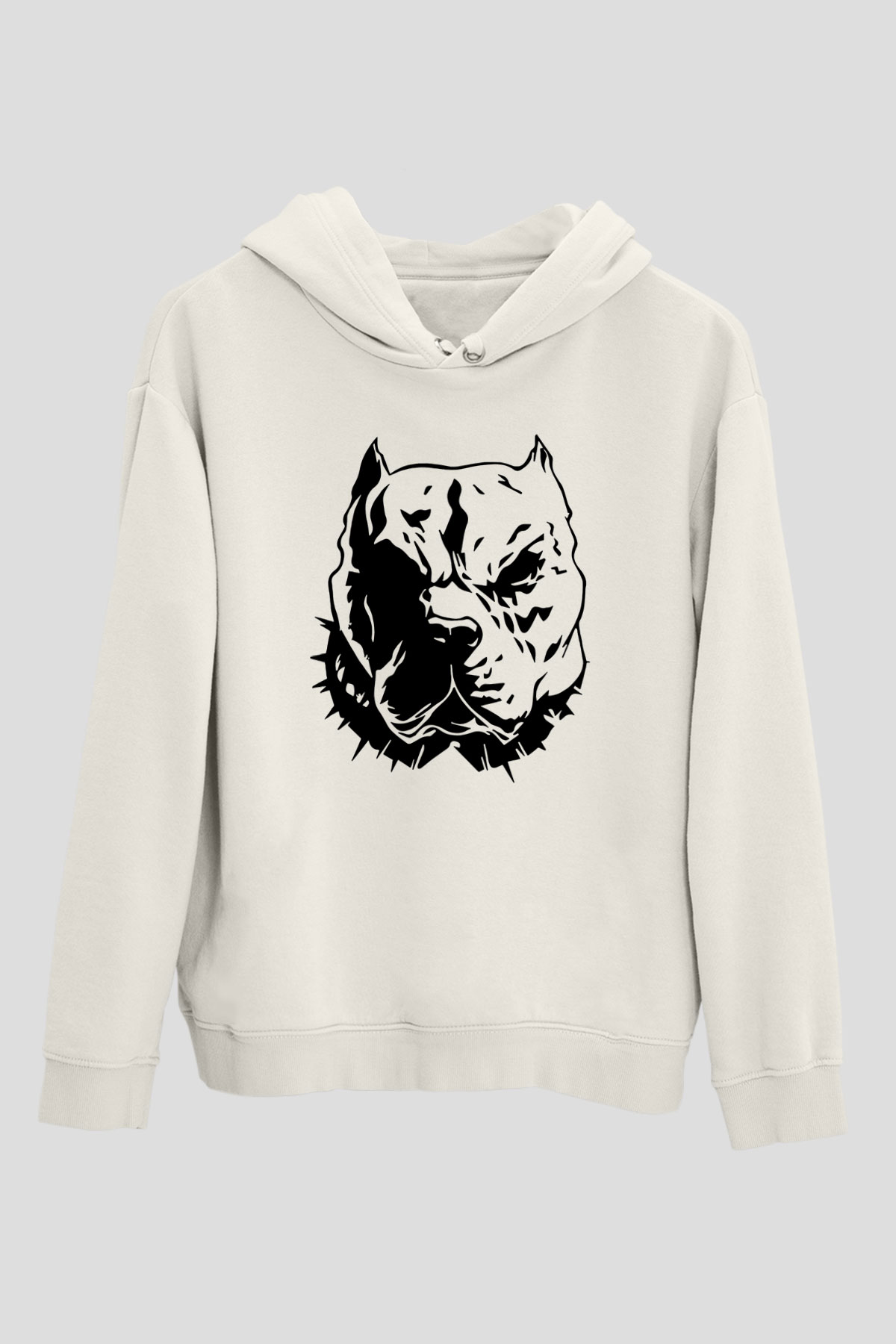 Tasarım Kapşonlu Sweatshirt TSR82