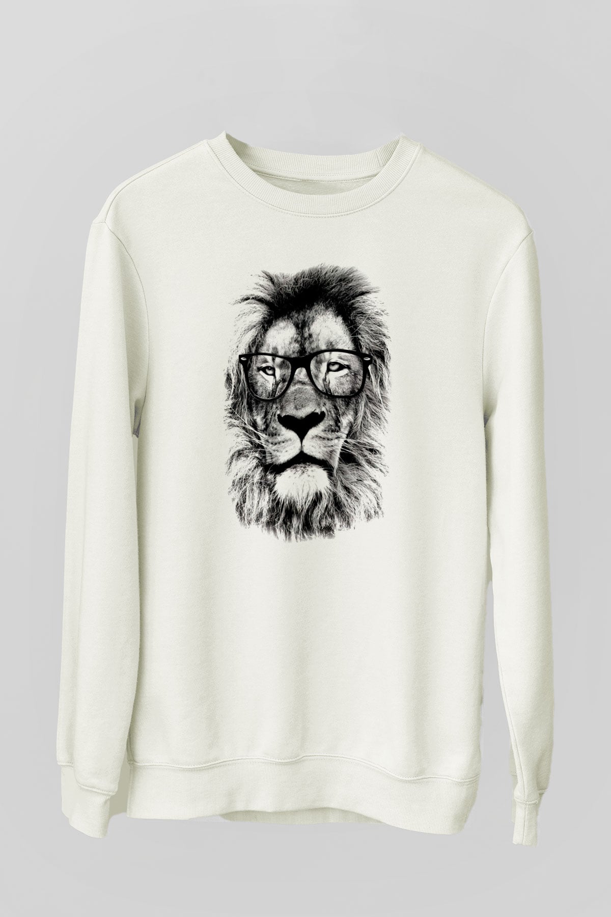 Tasarım Sweatshirt TSR123