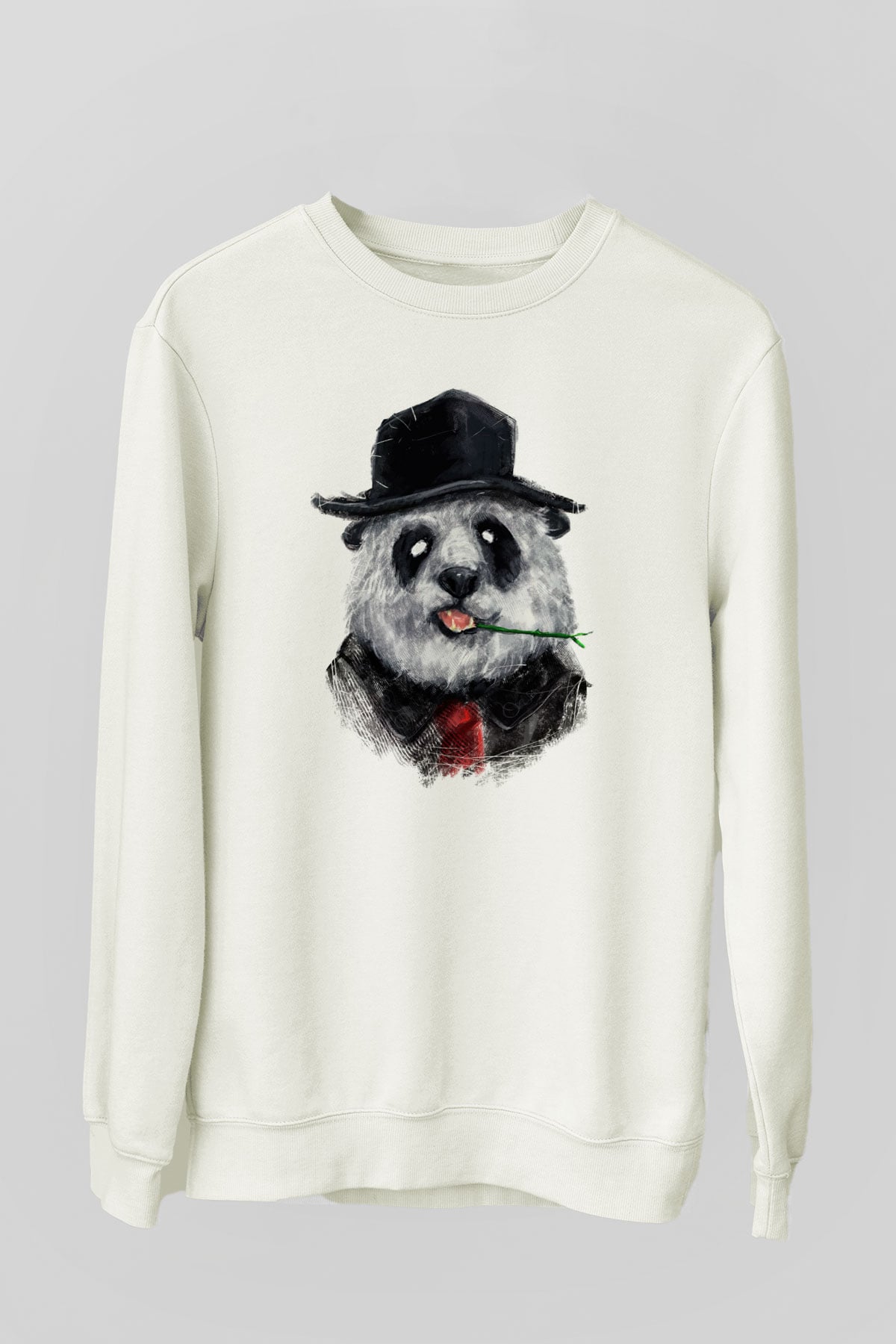 Tasarım Sweatshirt TSR217