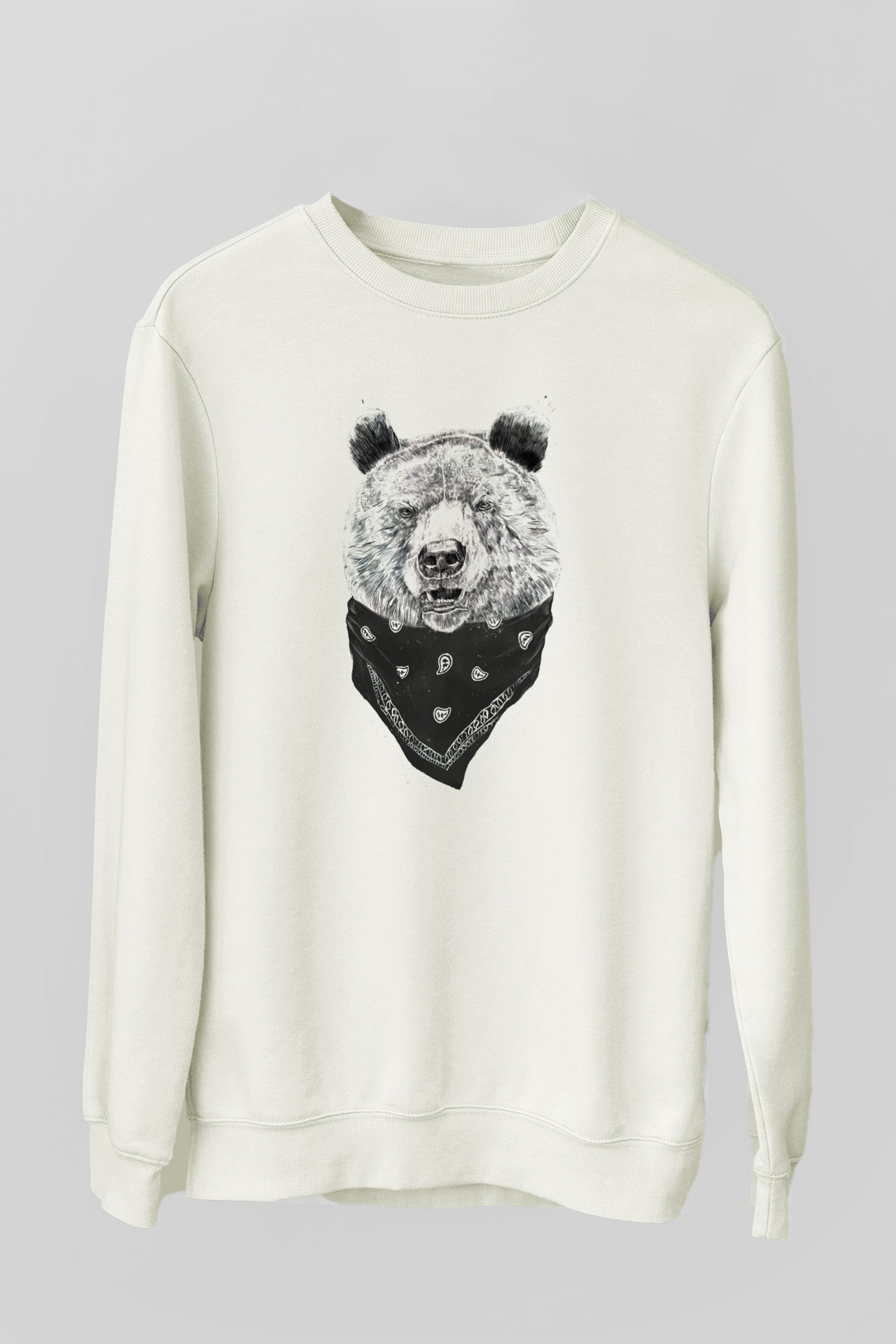 Tasarım Sweatshirt TSR236