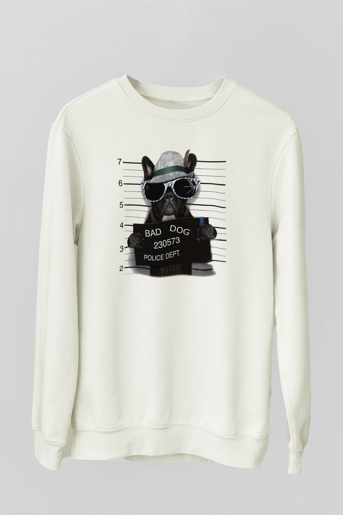 Tasarım Sweatshirt TSR461