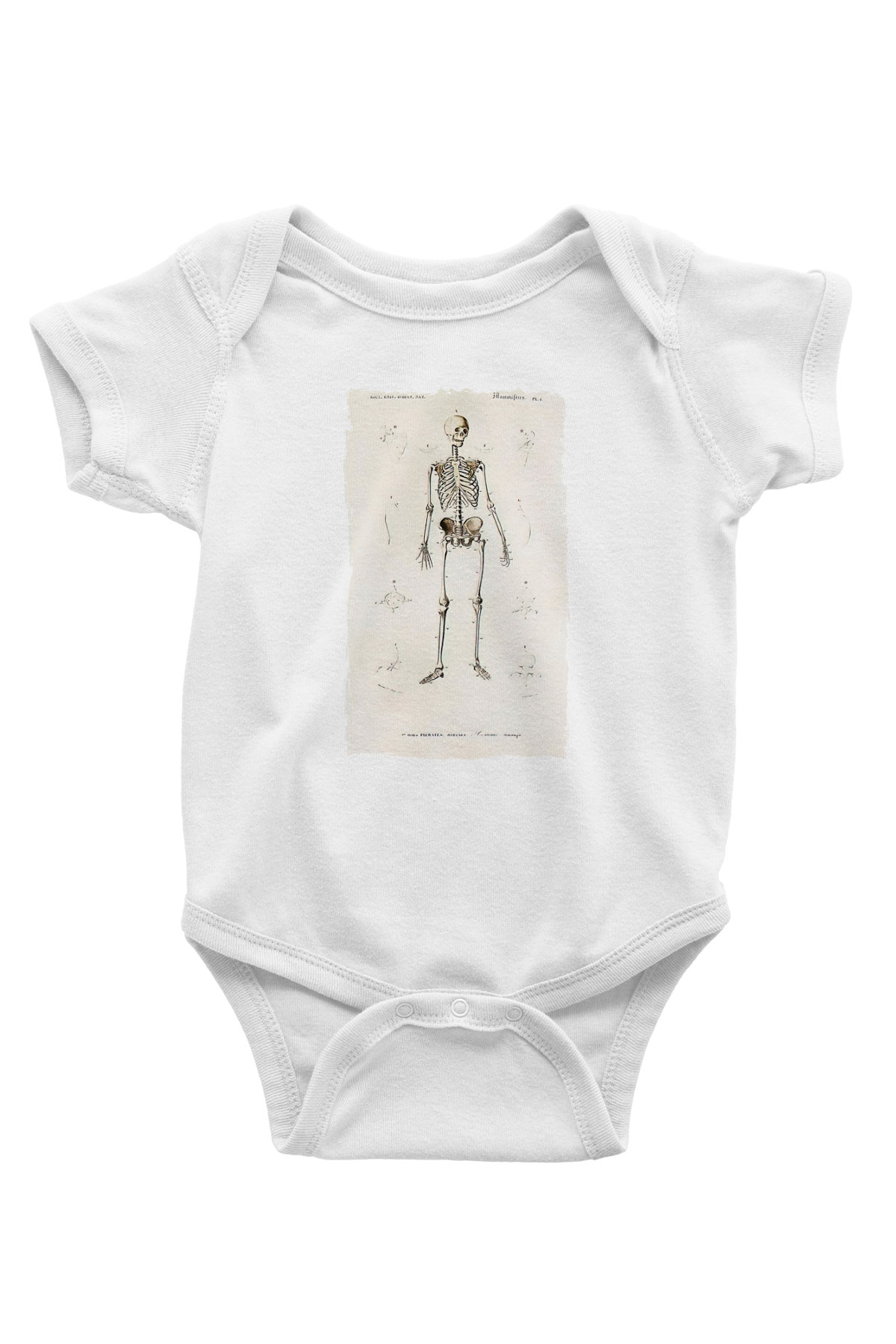 Tıp Bayramı Baskılı Beyaz Unisex Bebek Body - Zıbın