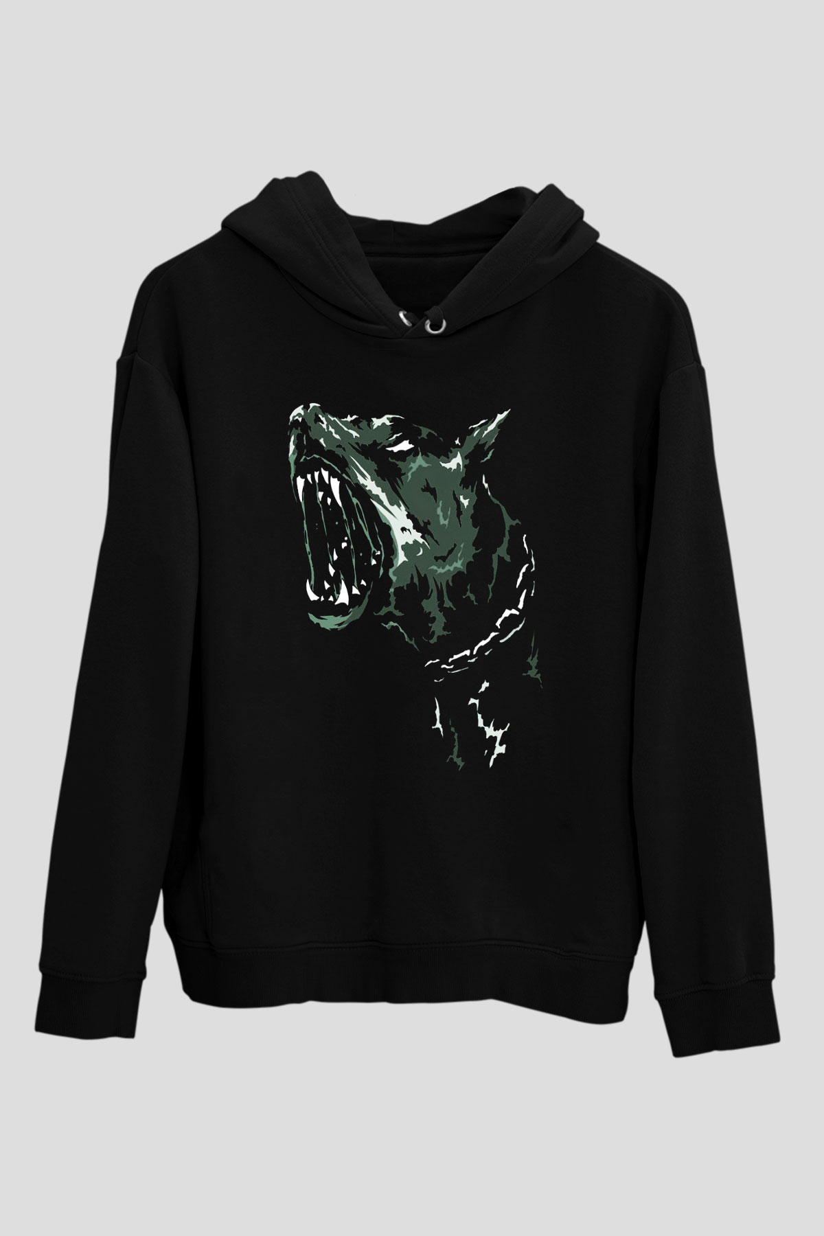 Unisex Hoodie TSR15