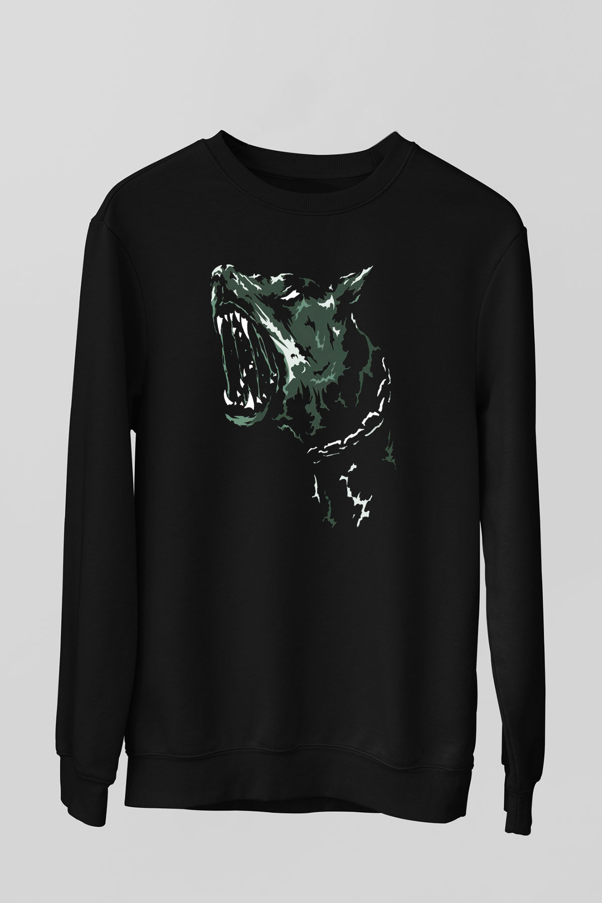 Unisex Sweatshirt TSR15