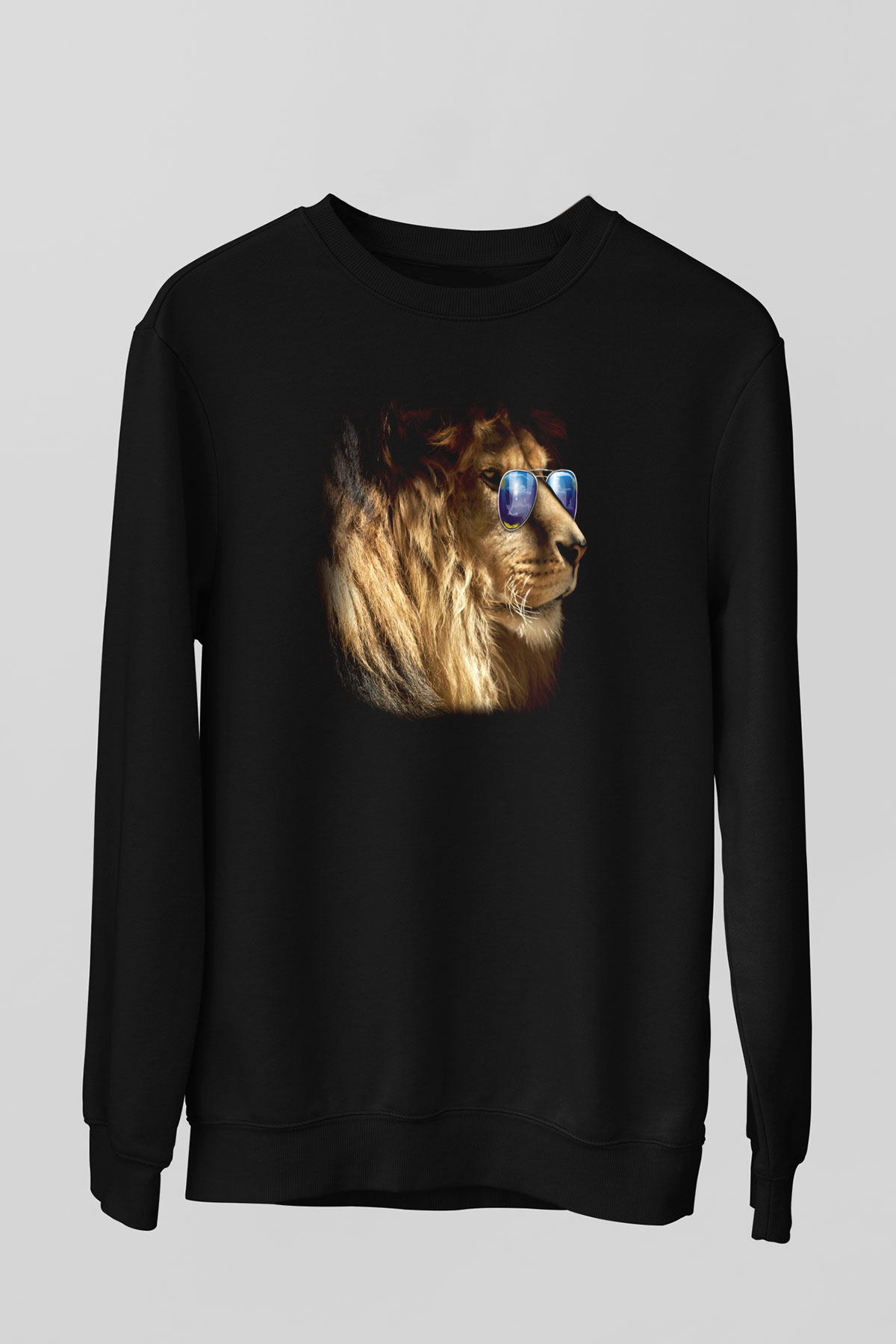 Unisex Sweatshirt TSR246