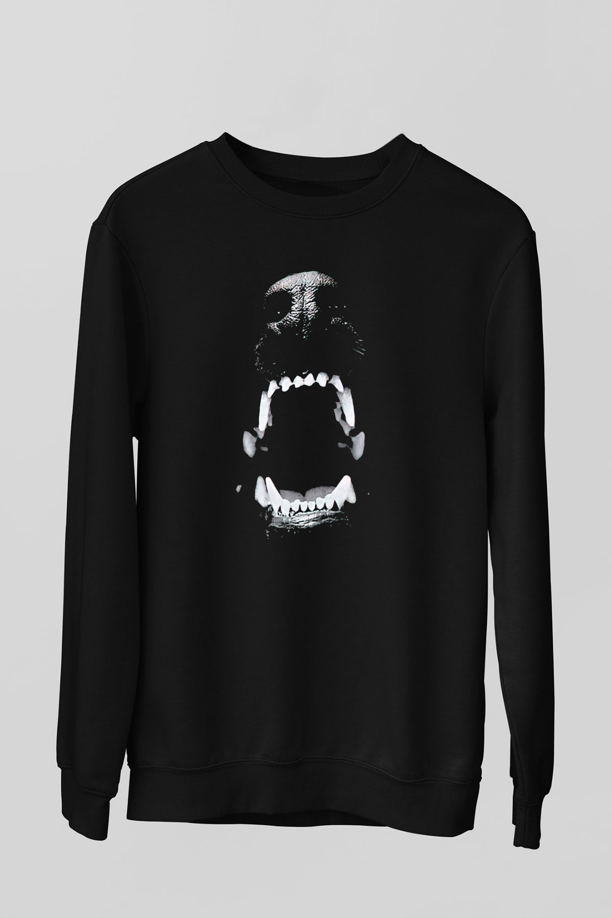 Unisex Sweatshirt TSR272