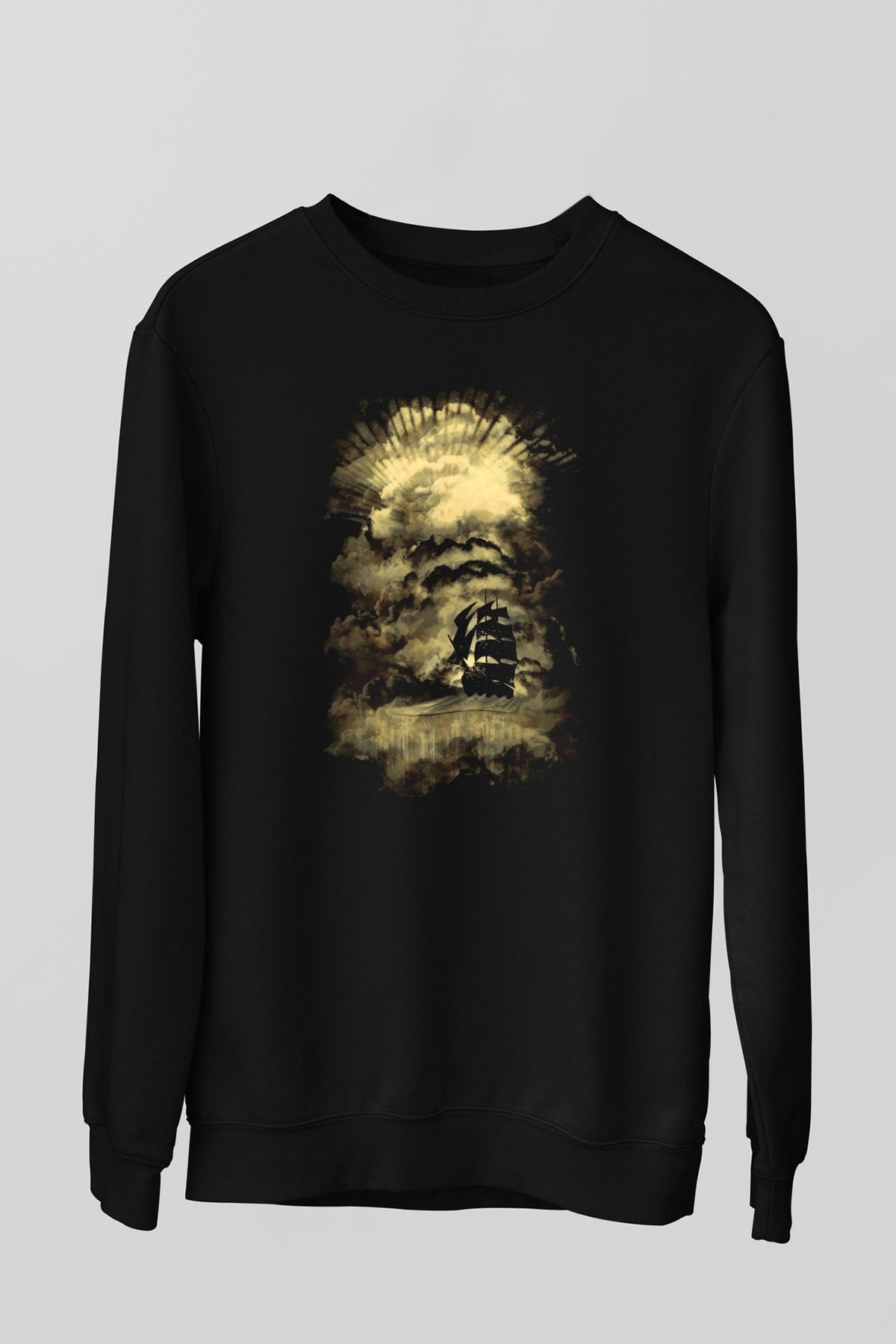 Unisex Sweatshirt TSR316