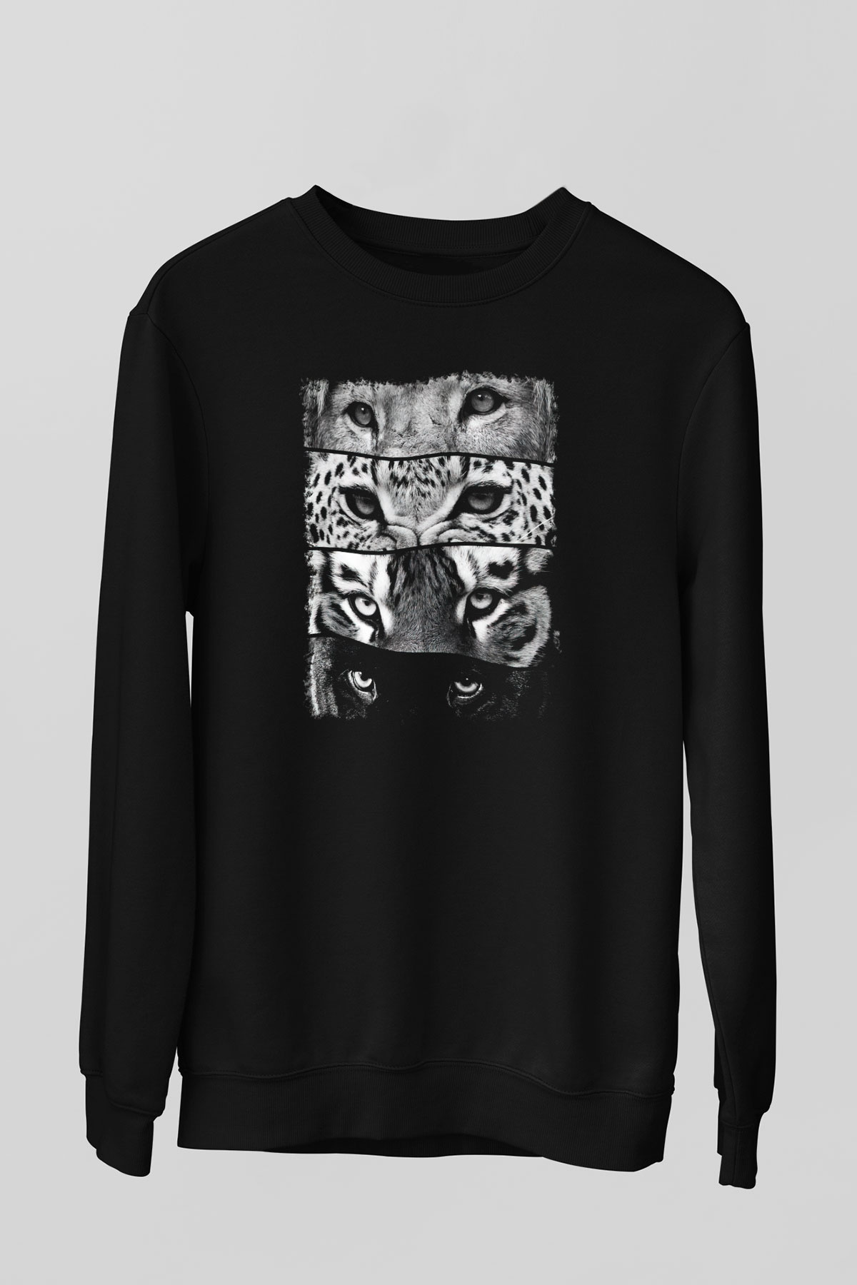 Unisex Sweatshirt TSR427