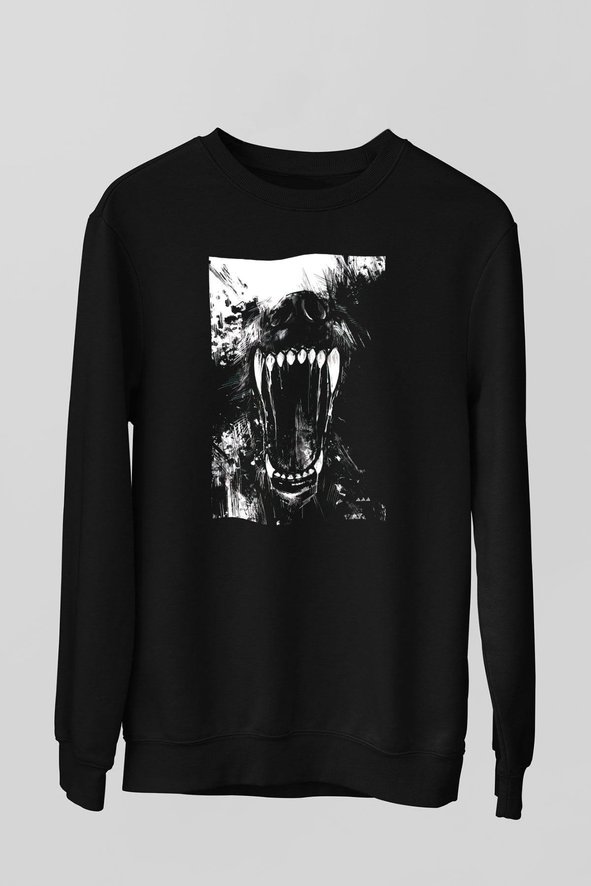 Unisex Sweatshirt TSR72