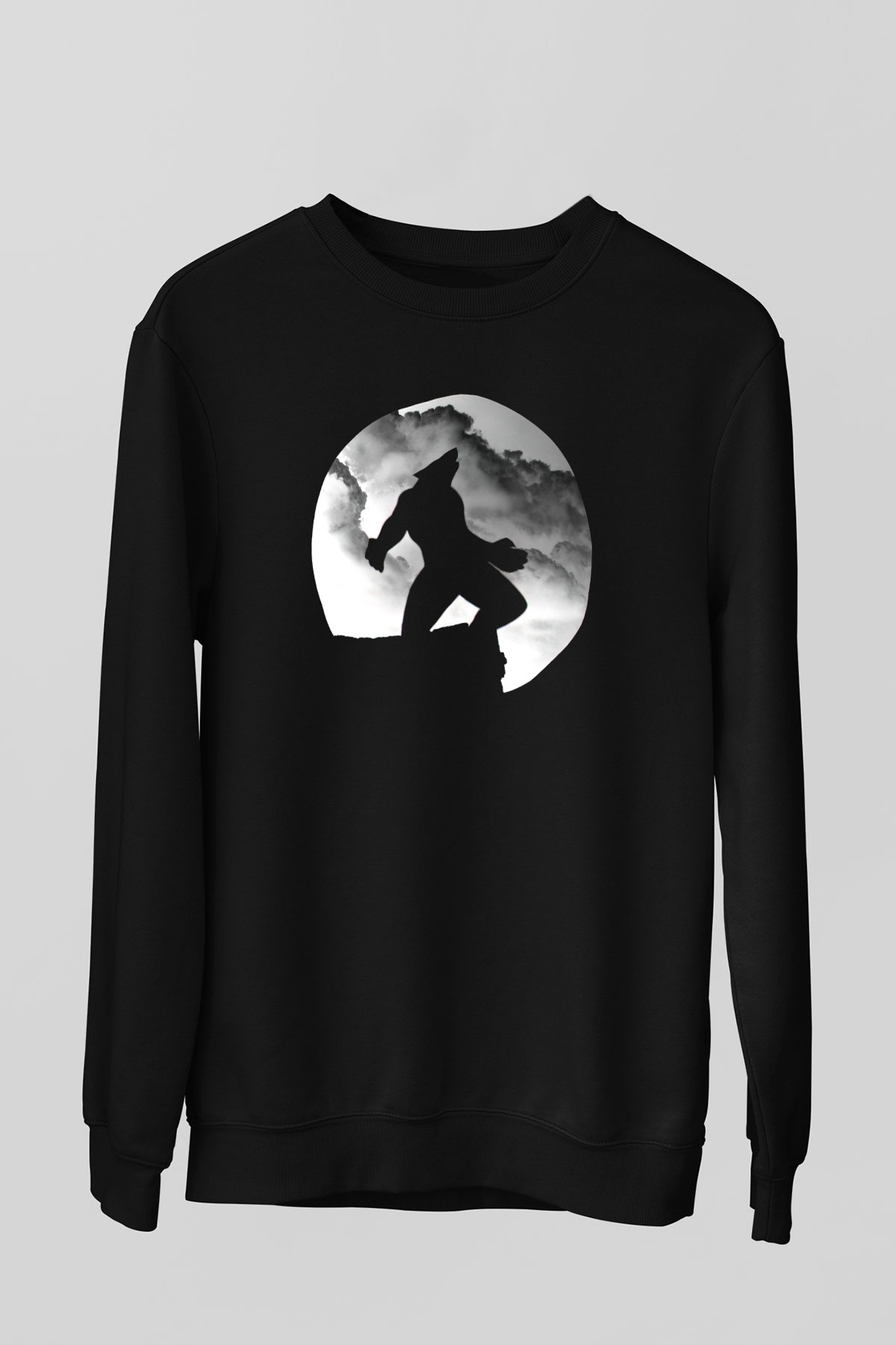 Unisex Sweatshirt TSR97