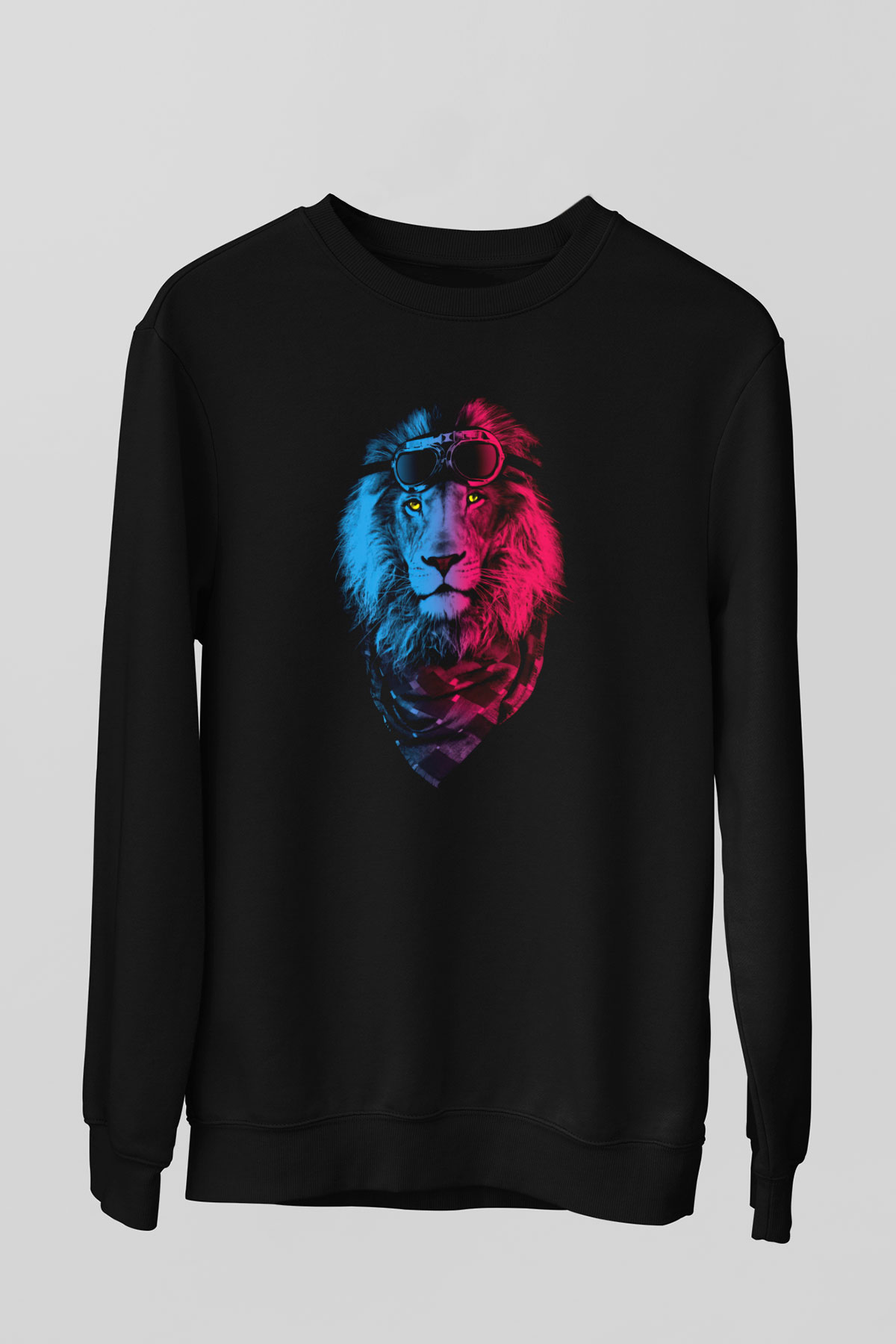 Unisex Sweatshirt TSR98