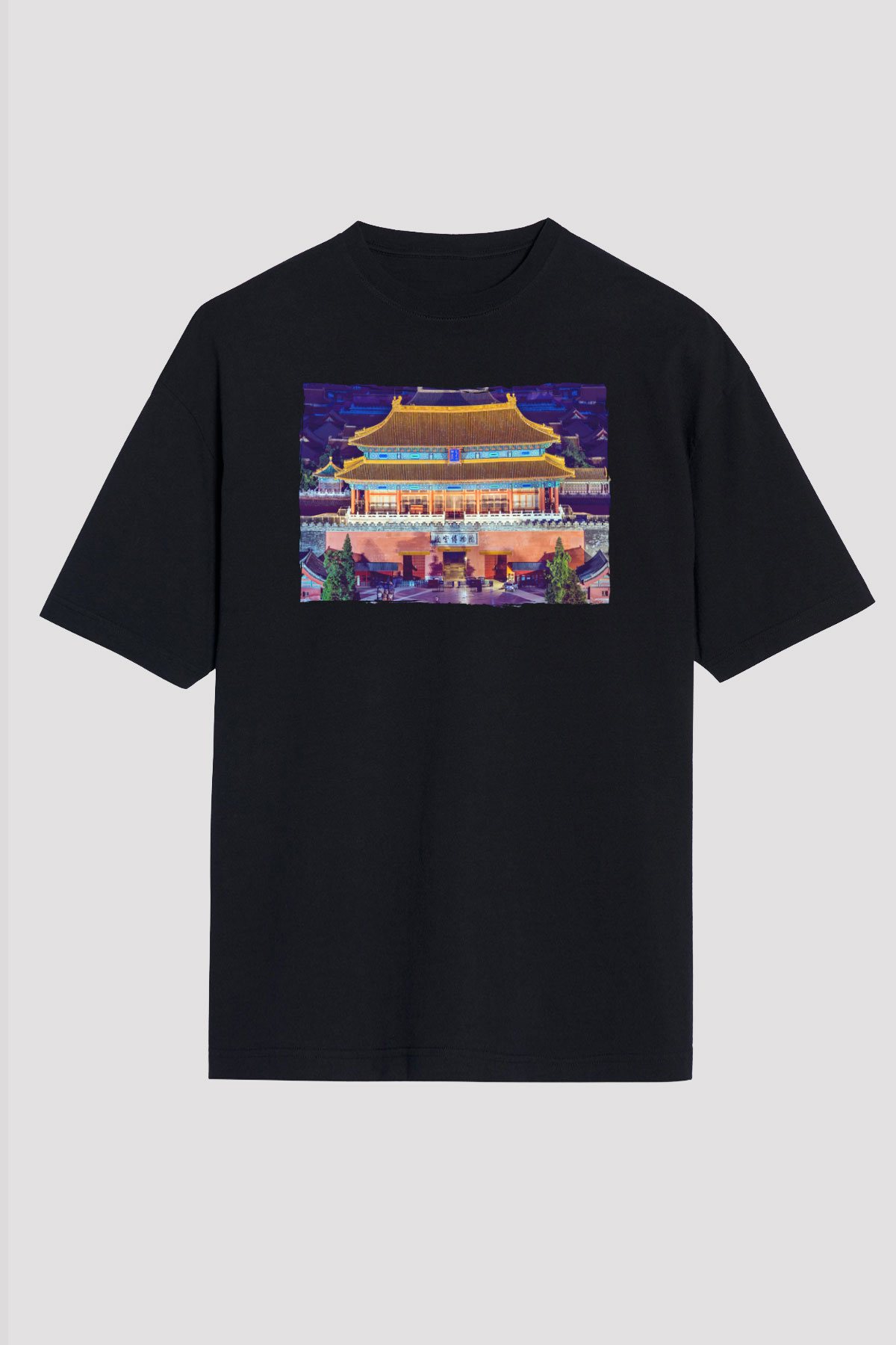 Yasak Şehir Siyah Unisex Tişört T-Shirt - TişörtFabrikası