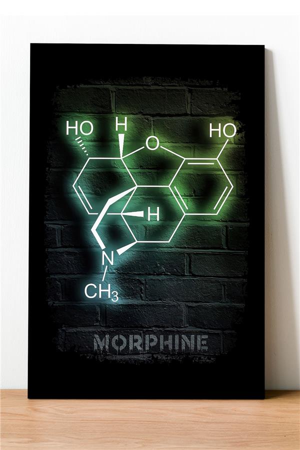 Morfin Molekülü Neon Desenli Ahşap Mdf Tablo 40 cm x 60 cm