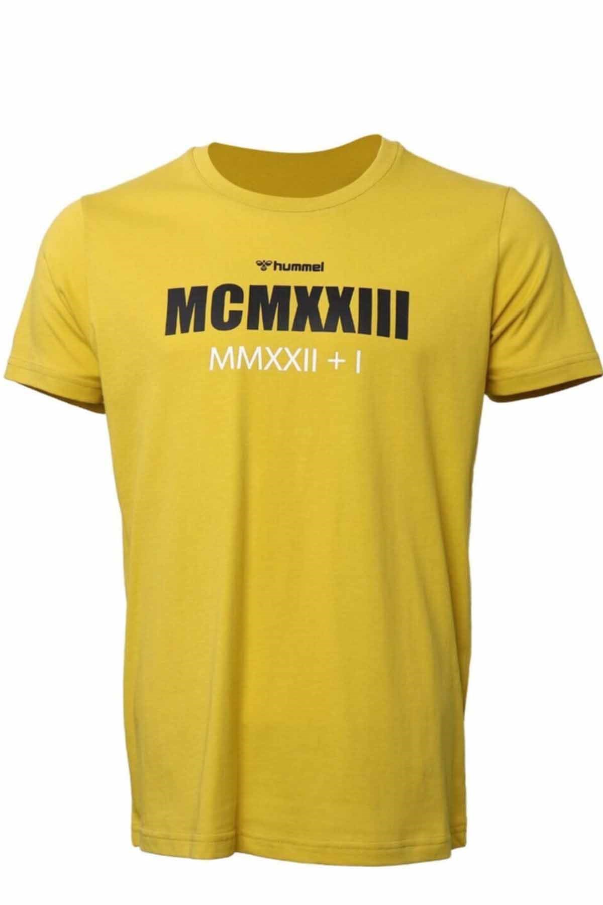 HUMMELTişörtHummel Naesten T-Shirt Erkek Tişört 911523-2119CHATEAU GR