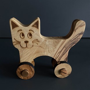 Zeytinağacı Kedi