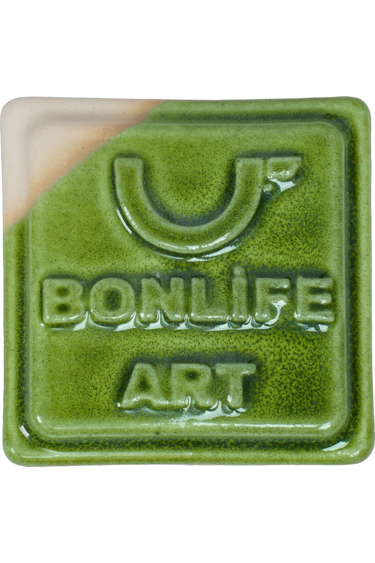 Bonlife C21099 Midori Stoneware Artistik Sır