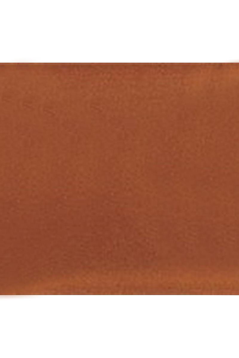 REFSAN CERAMIC POWDER DYE ON-GLAZE 31 BROWN