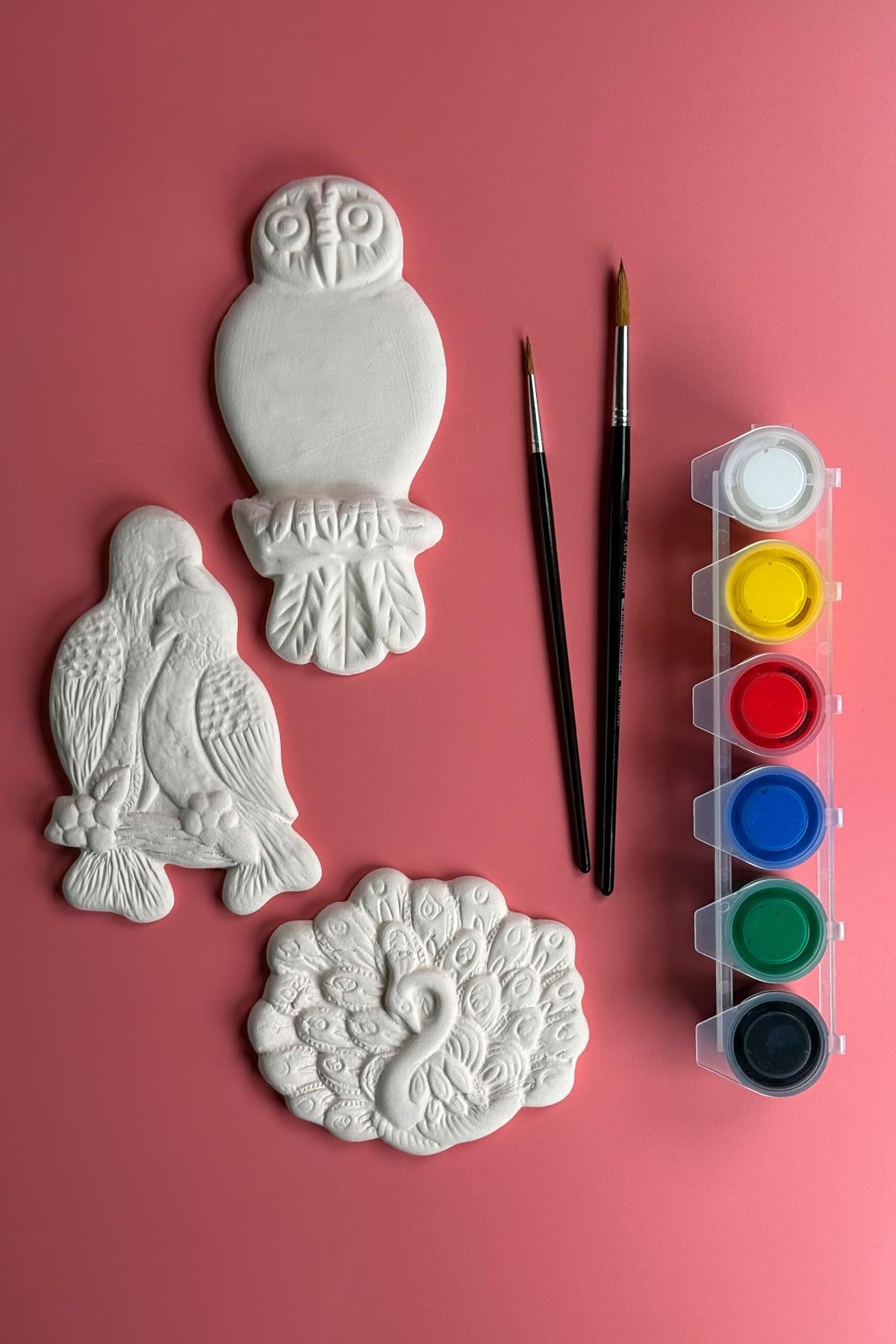 Boyama Seti No:7 - Mini Kuş Koleksiyonu