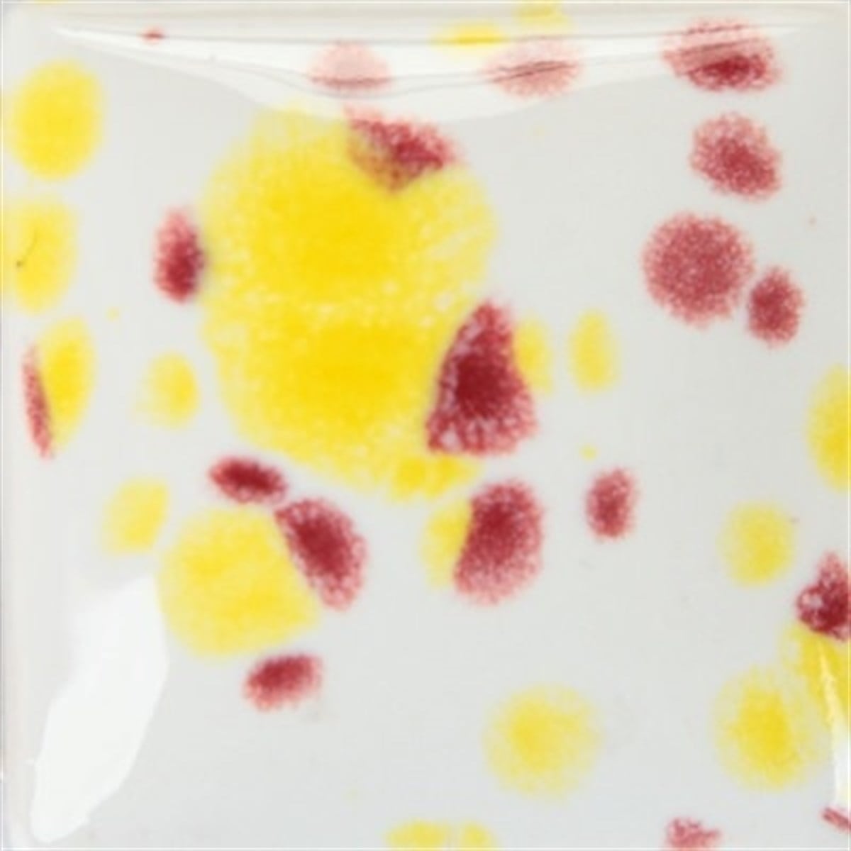 Duncan Cr923 Raspberry Lem