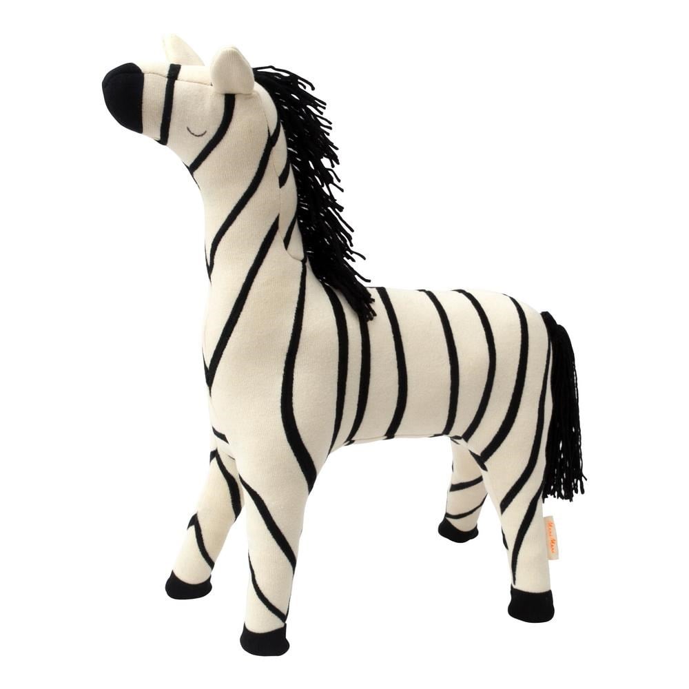 Ray Zebra Gizden Gelenler